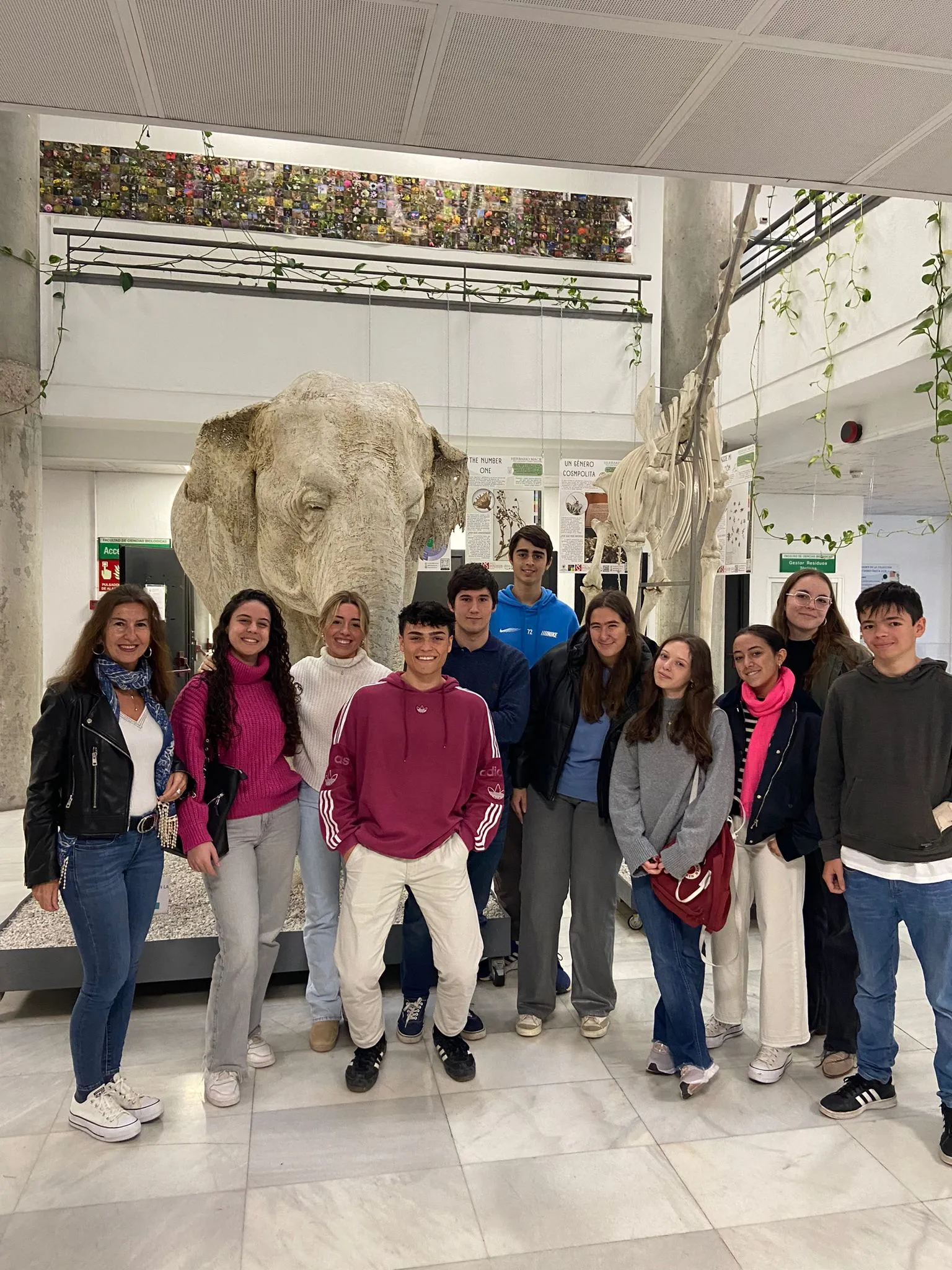 Visita Museo de Anatomía Comparada de la facultad de Ciencias Biológicas de la UCM